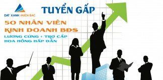 Tuyển nhân viên kinh doanh bất động sản